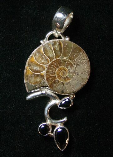 Fossil Ammonite Pendant - Sterling Silver #8577